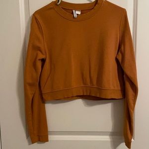 Divided Cropped Crewneck Sweatshirt
